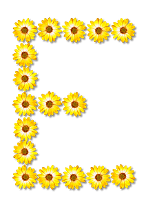 Flower Typography E