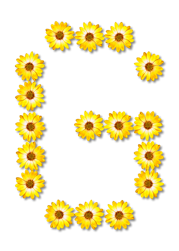 Flower Typography G