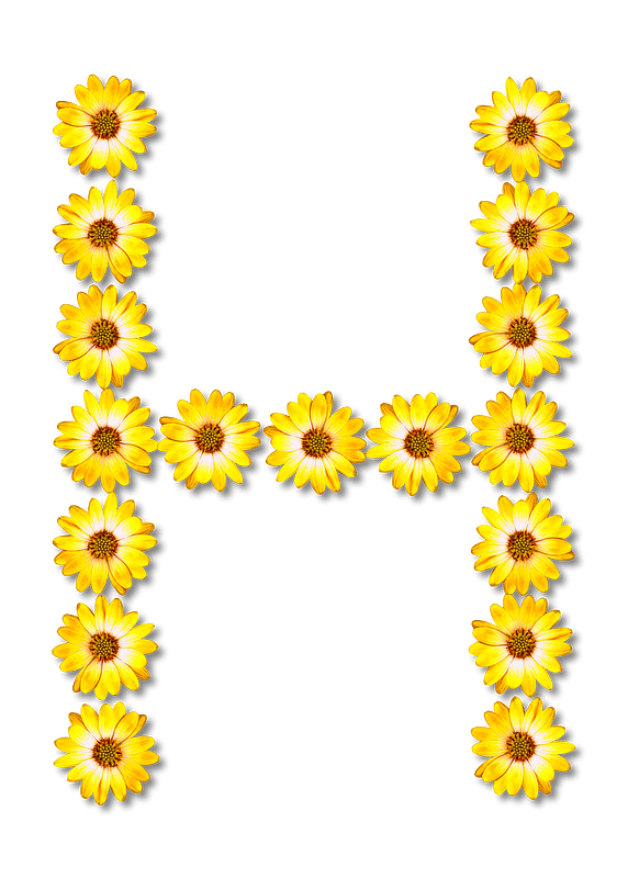 Flower Typography H