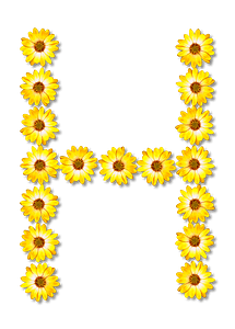 Flower Typography H