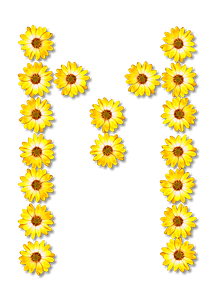 Flower Typography M