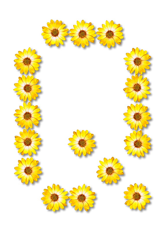 Flower Typography Q