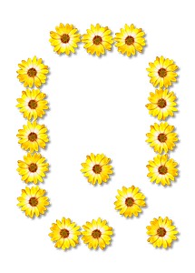 Flower Typography Q