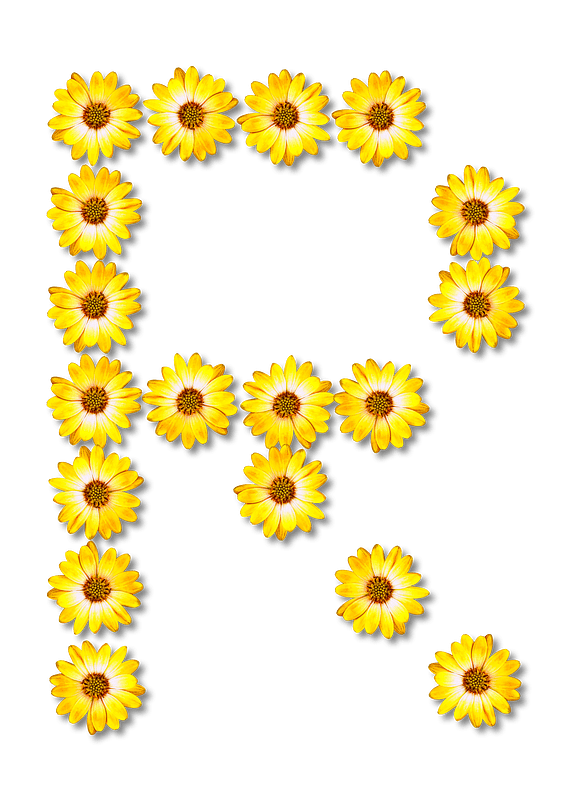 Flower Typography R