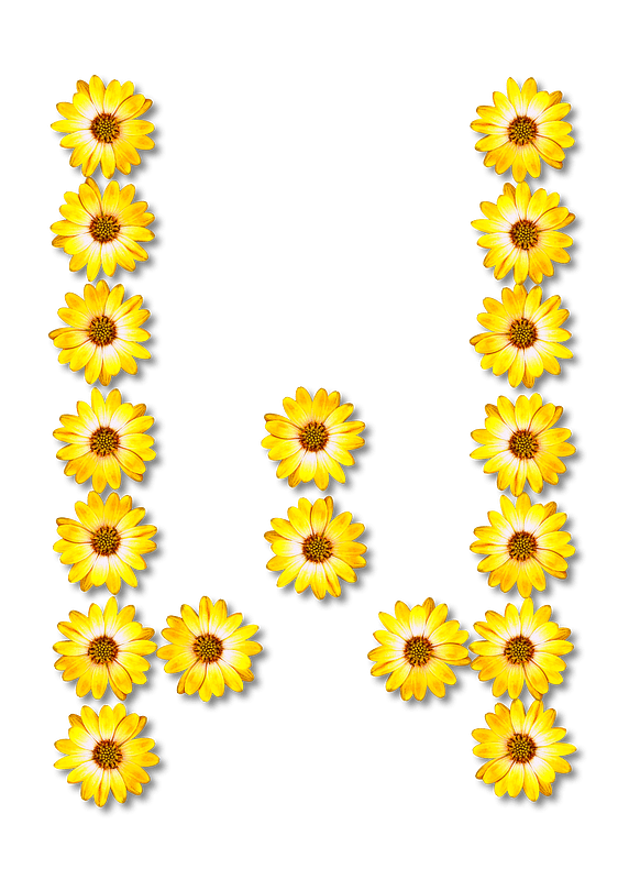 Flower Typography W