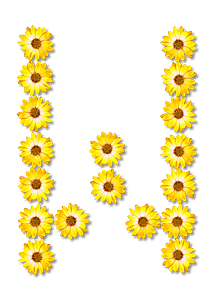 Flower Typography W