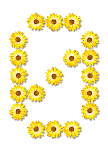 Flower Typography0