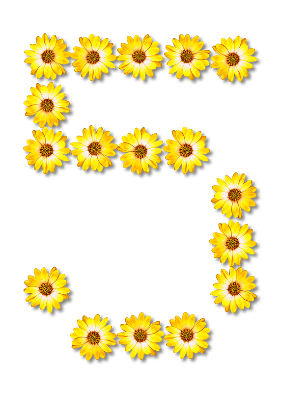 Flower Typography5