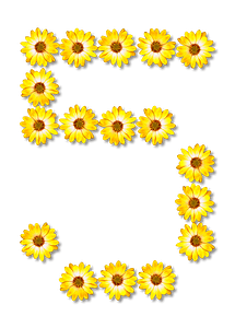 Flower Typography5