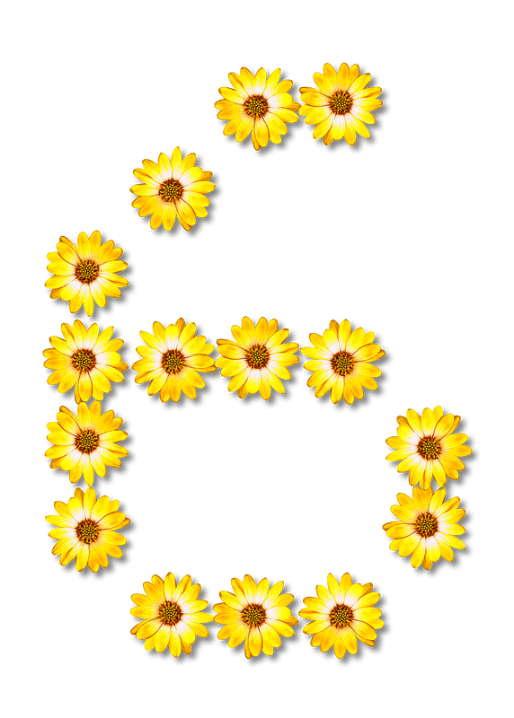 Flower Typography6