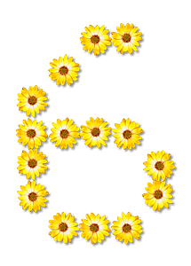 Flower Typography6
