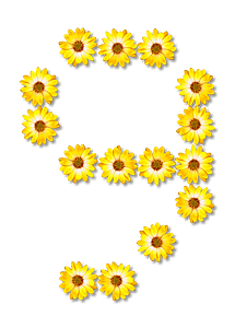 Flower Typography9