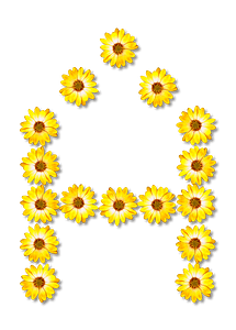 Flower Typography a