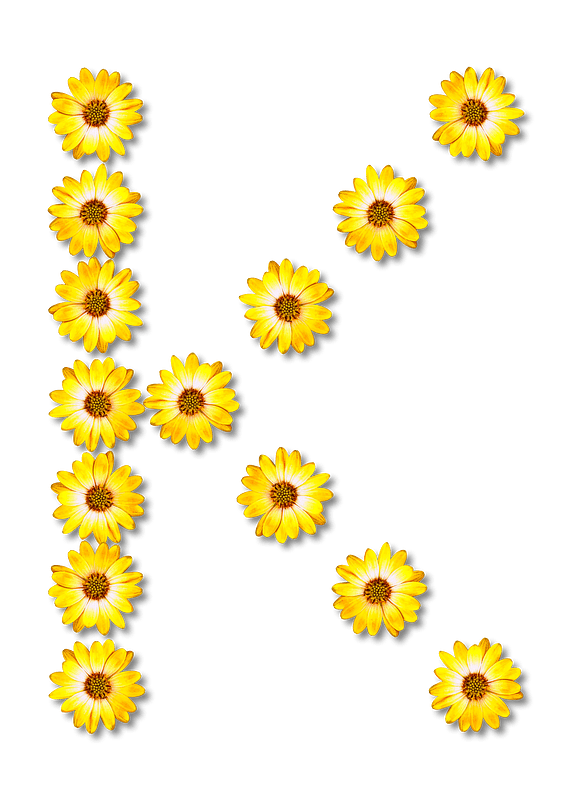 Flower Typography K