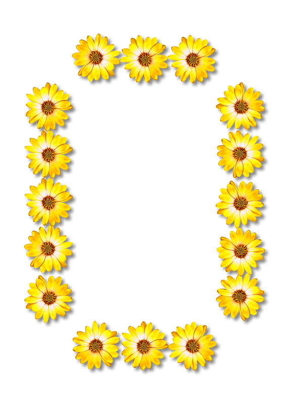 Flower Typography O
