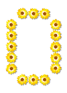Flower Typography O