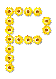 Flower Typography P