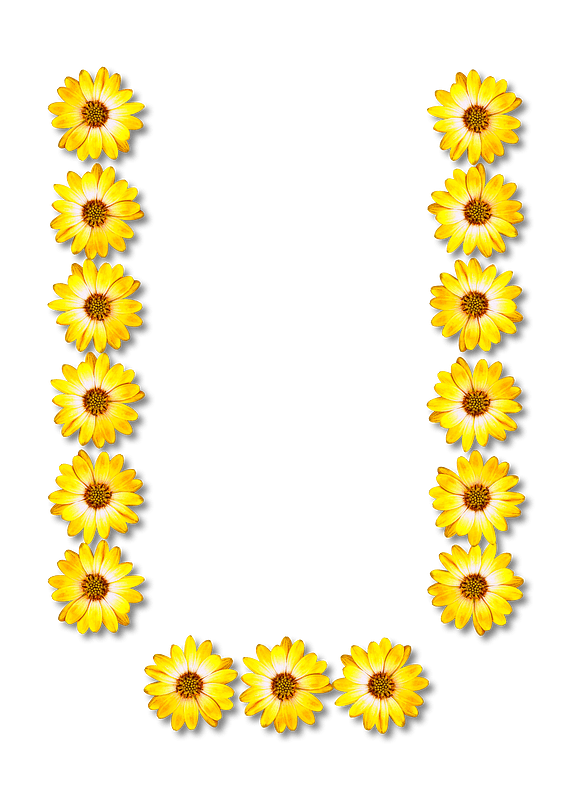 Flower Typography U