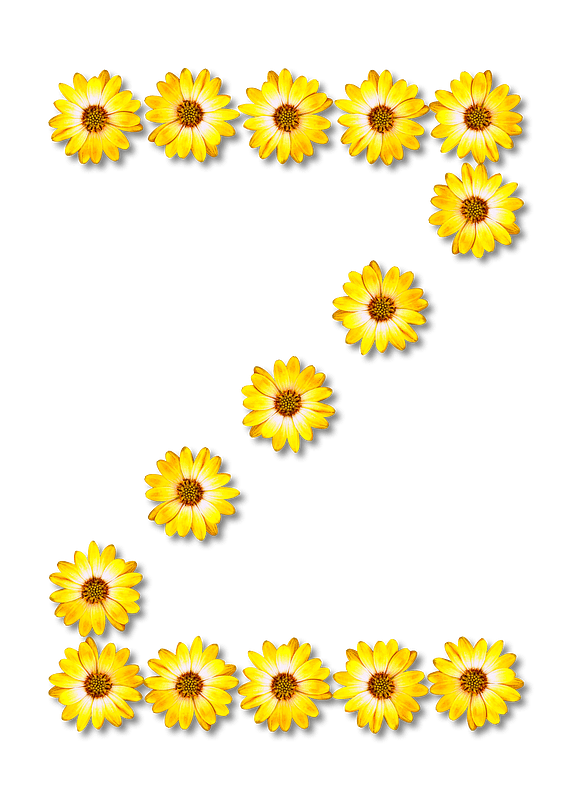 Flower Typography Z