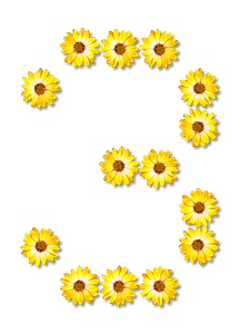 Flower Typography3