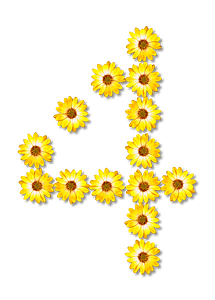 Flower Typography4