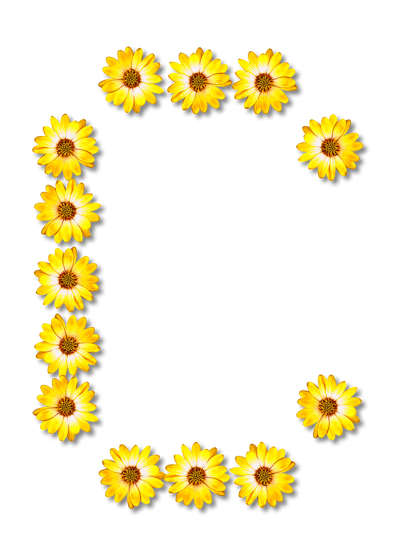 Flower Typography C