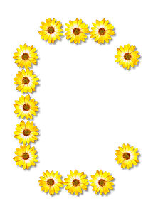 Flower Typography C