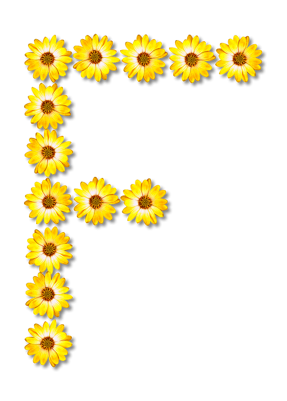 Flower Typography F