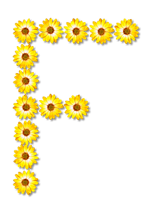 Flower Typography F