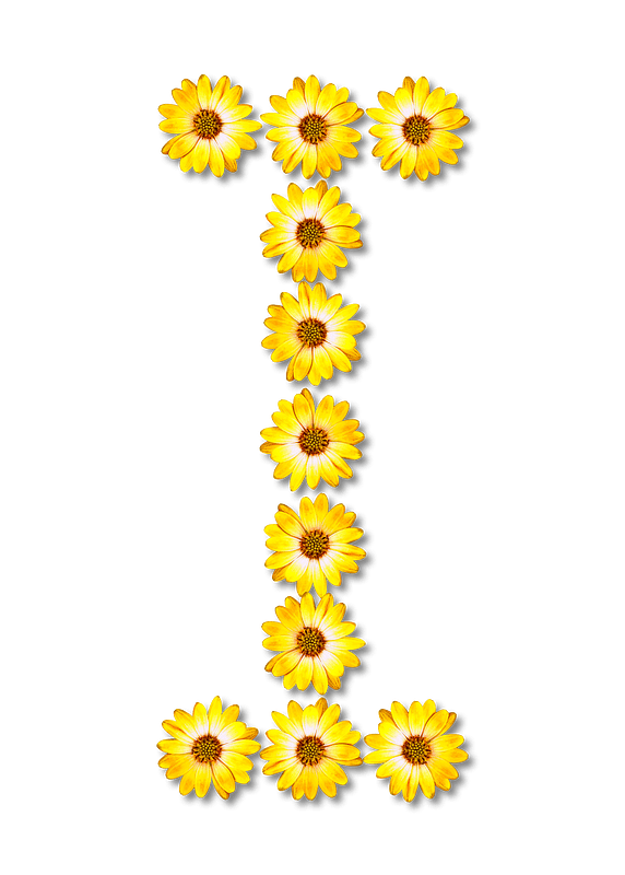 Flower Typography I