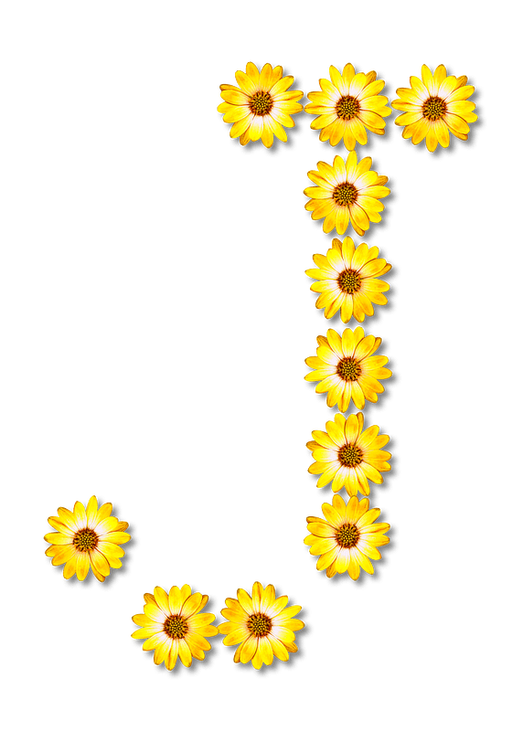 Flower Typography J