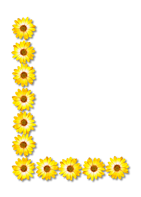 Flower Typography L