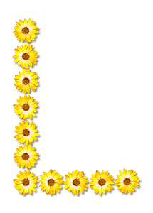 Flower Typography L