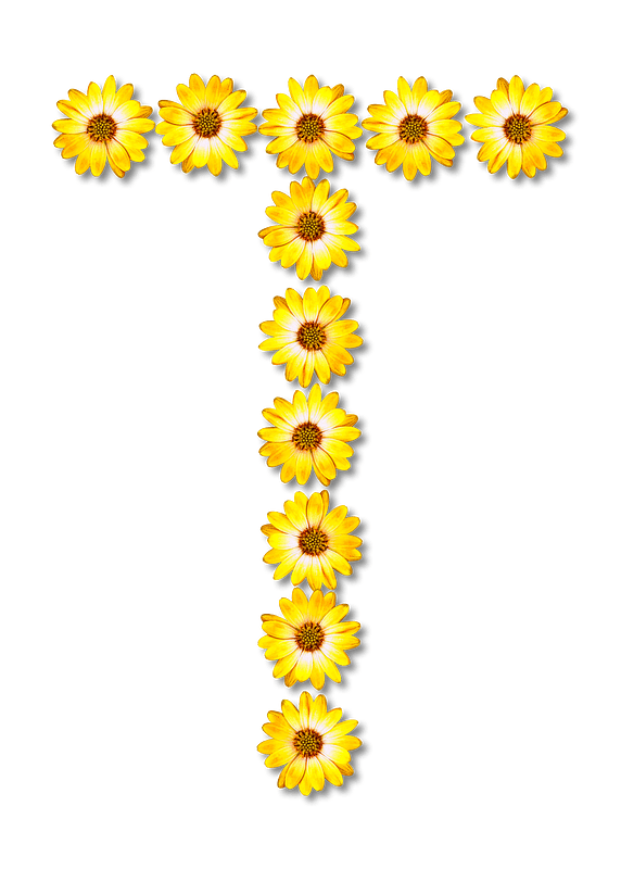 Flower Typography T
