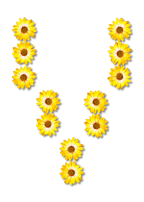 Flower Typography V