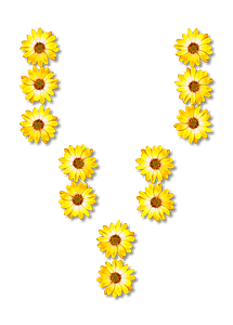 Flower Typography V