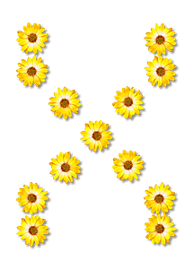 Flower Typography X