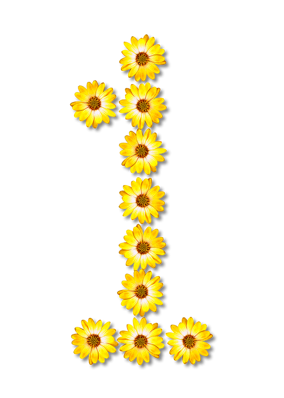 Flower Typography1