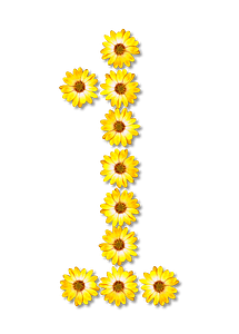 Flower Typography1
