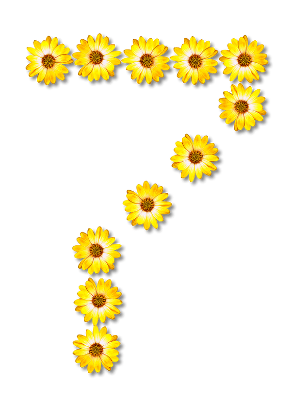 Flower Typography7