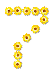 Flower Typography7