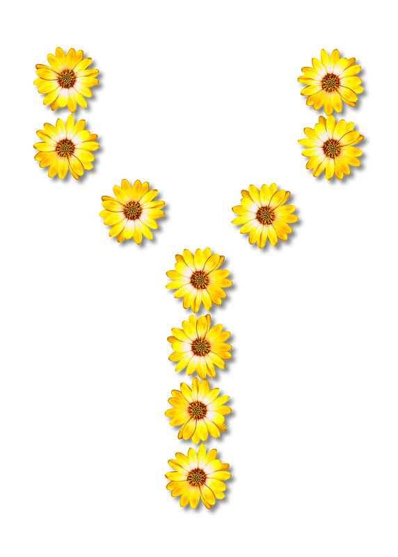 Flower Typography Y