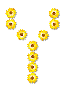 Flower Typography Y