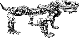 Pareiasaurus