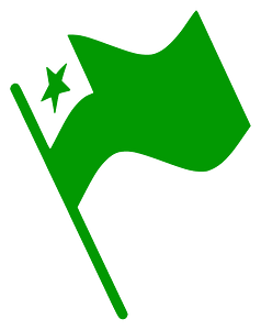 Esperanto Flag Waving