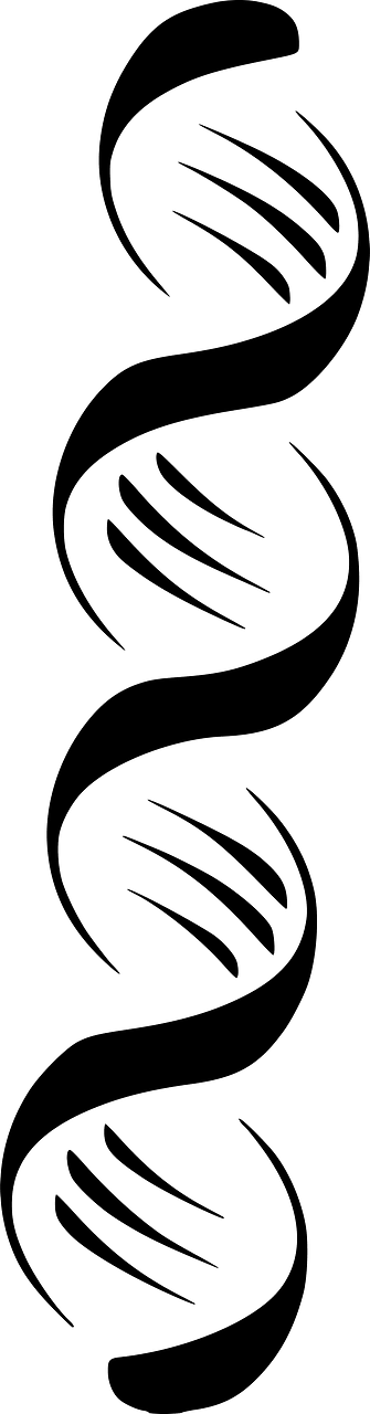 Stylized Dna