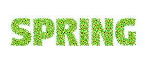 Spring typography