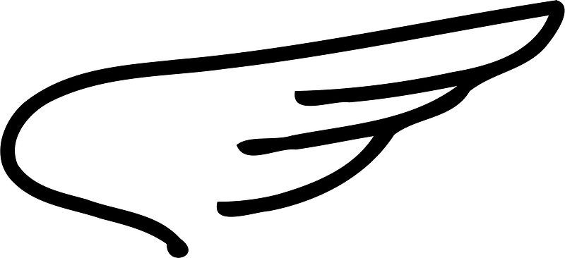 Wing