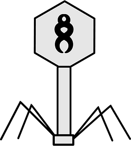 Bacteriophage
