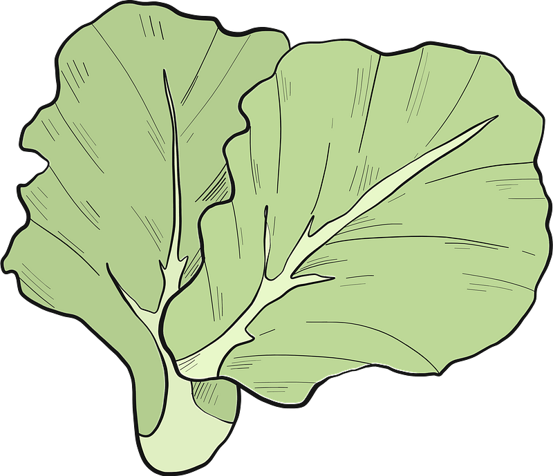 Selada